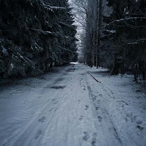 Photo #9724887