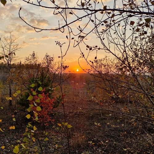 Photo #9724979