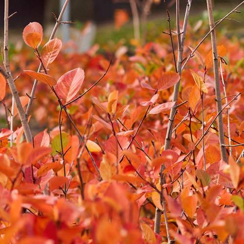Photo #9725031