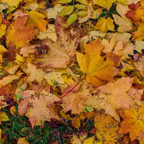 Photo #9725107
