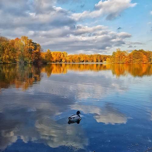 Photo #9725195