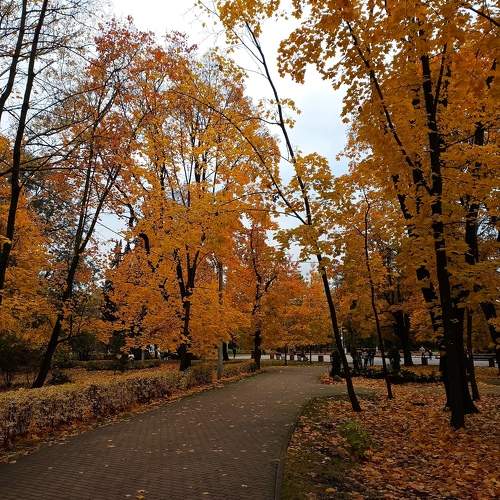 Photo #9725505