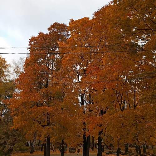 Photo #9725507