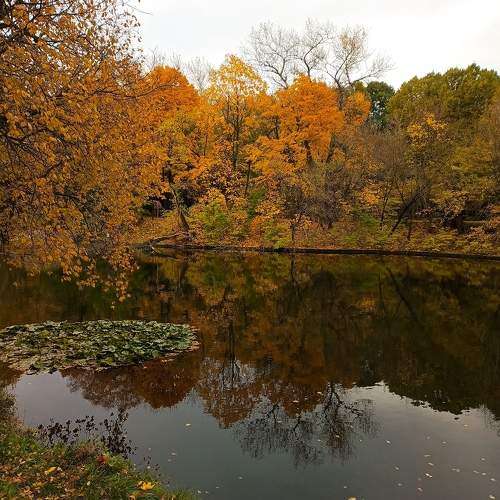Photo #9725516