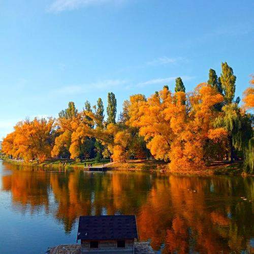 Photo #9725708