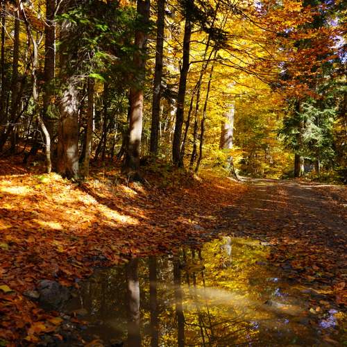 Photo #9725964