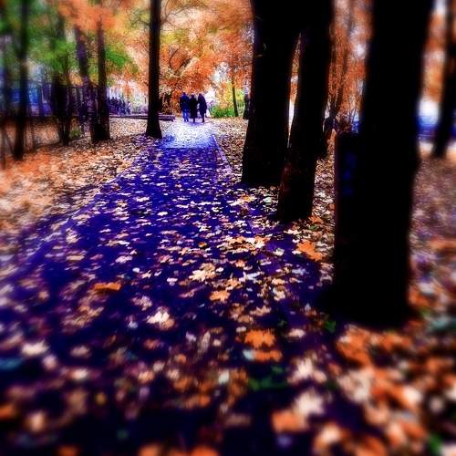 Photo #9726131