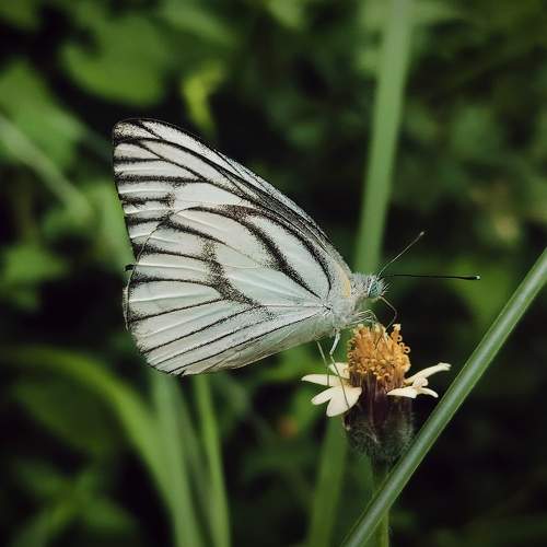 Photo #9726195