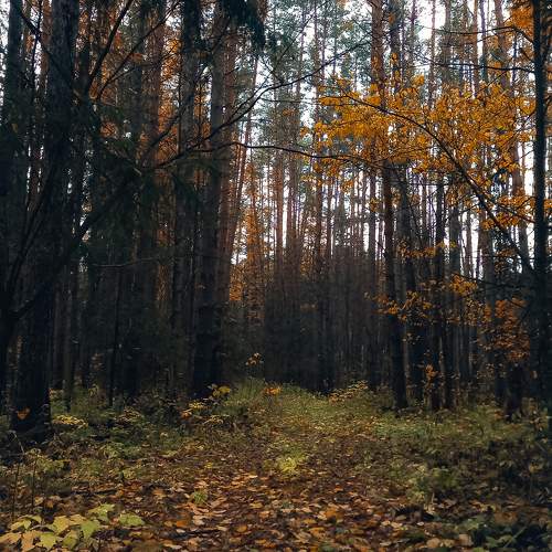 Photo #9726276