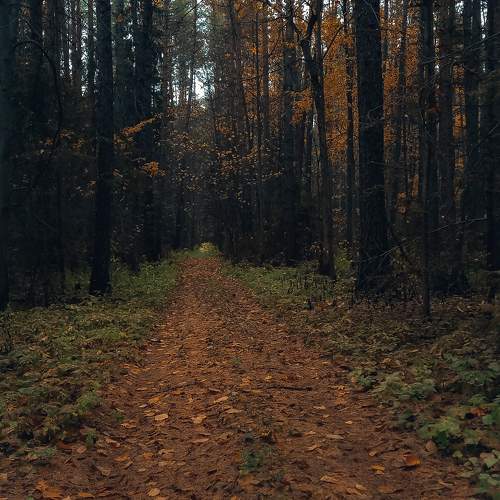 Photo #9726282