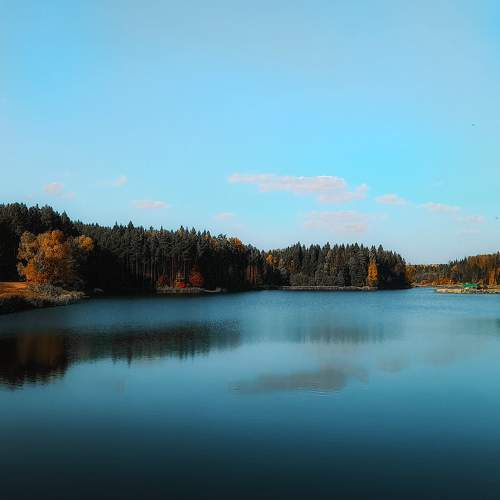 Photo #9726363