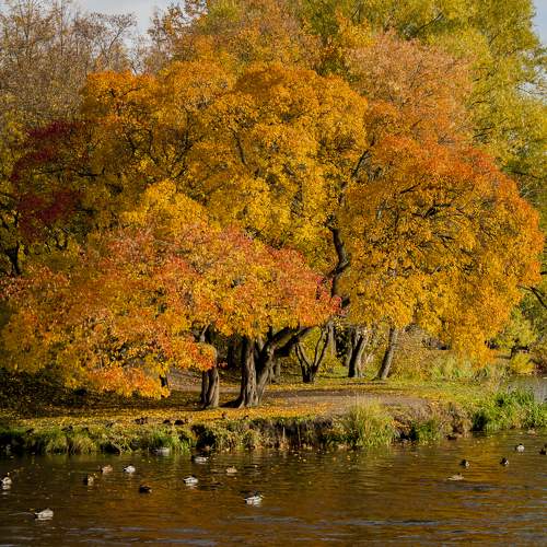 Photo #9726779