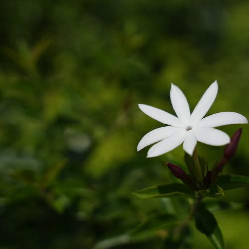 Photo #9727122