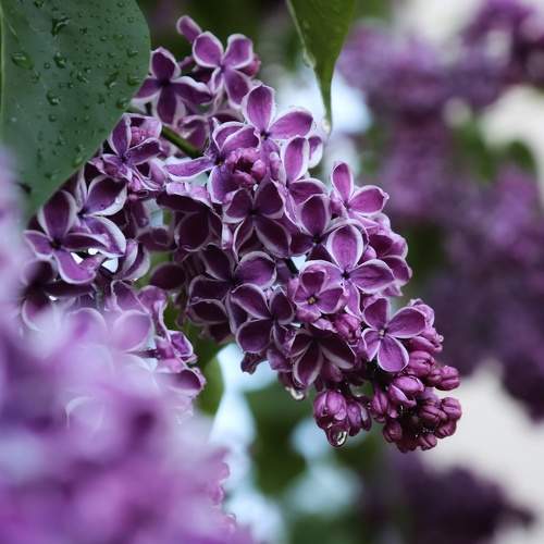 Photo #9727380