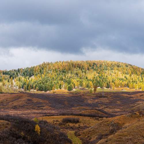 Photo #9727514
