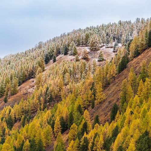 Photo #9727515