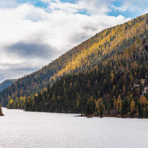Photo #9727516