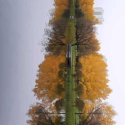 Photo #9727572