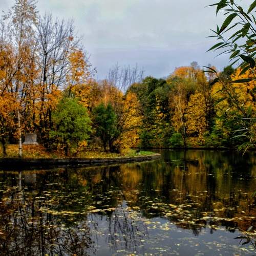 Photo #9727575