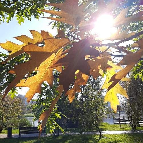 Photo #9727593