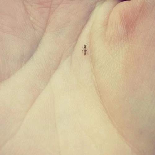 Photo #9727671