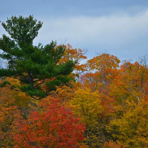 Photo #9727898