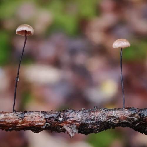 Photo #9727900