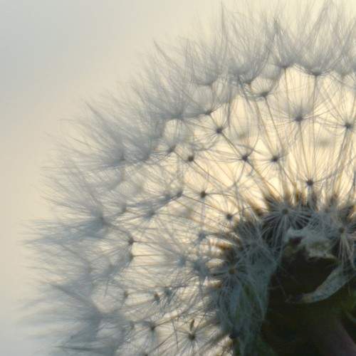 Photo #9727920