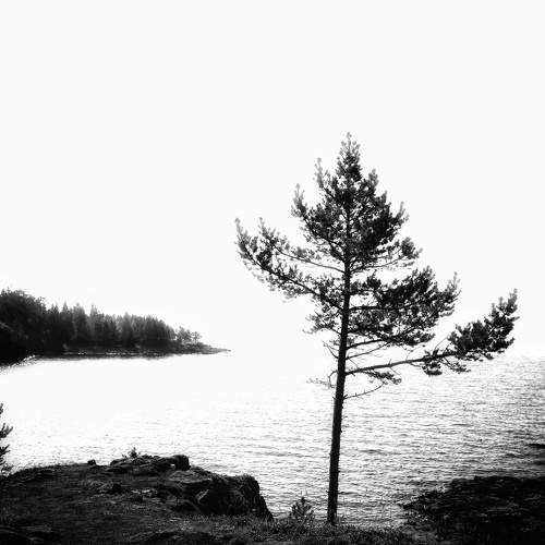 Photo #9727969