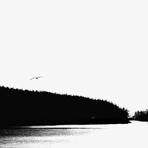 Photo #9727981
