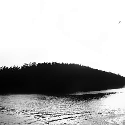 Photo #9727988