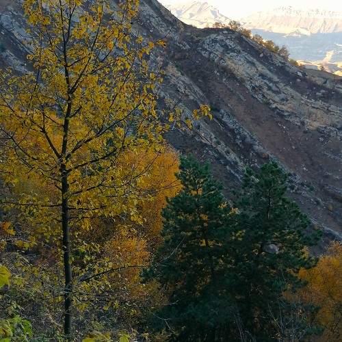 Photo #9728161