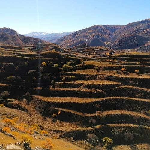 Photo #9728273