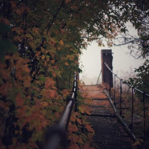 Photo #9728290