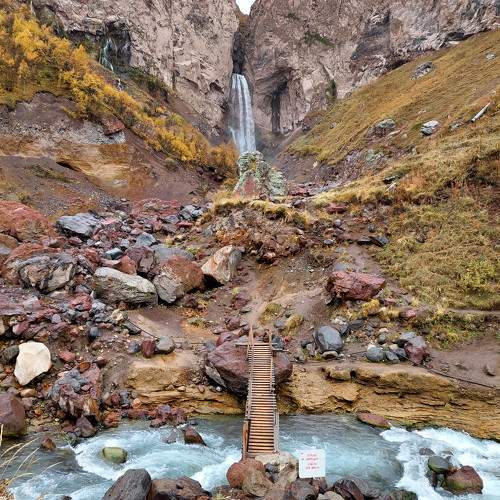 Photo #9728560