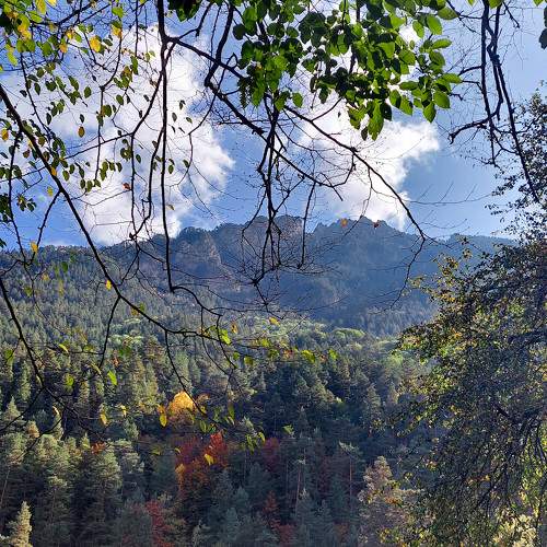 Photo #9728572