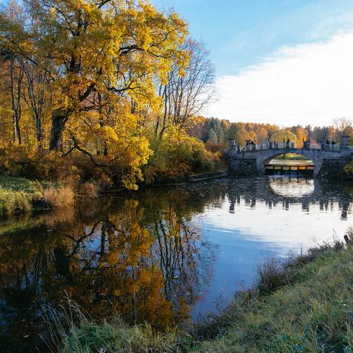 Photo #9728643