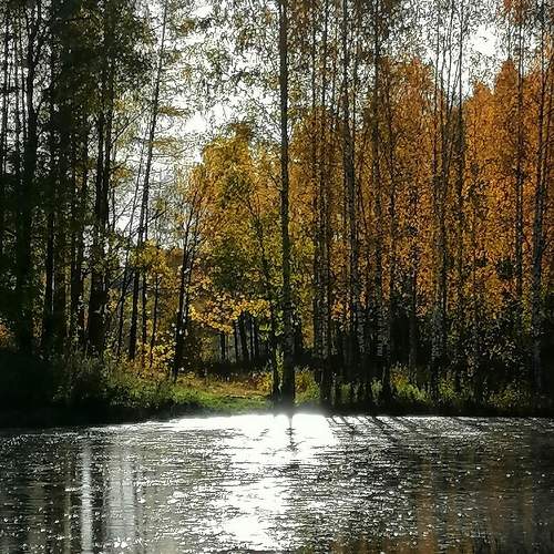 Photo #9728647