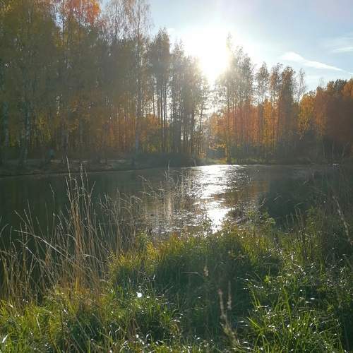 Photo #9728650