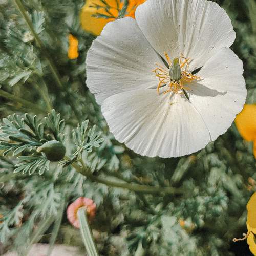 Photo #9728929