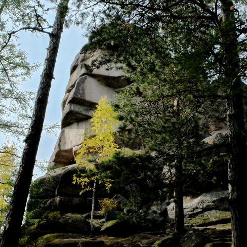 Photo #9728949