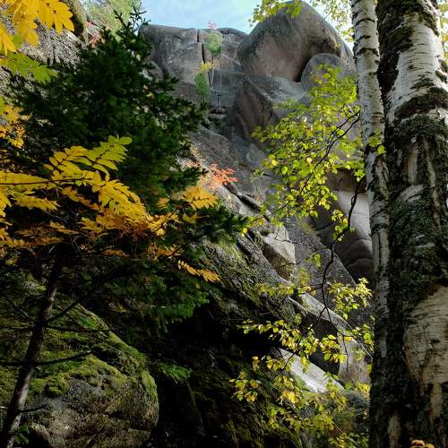 Photo #9728951