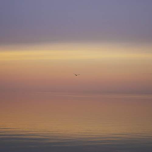 Photo #9729342
