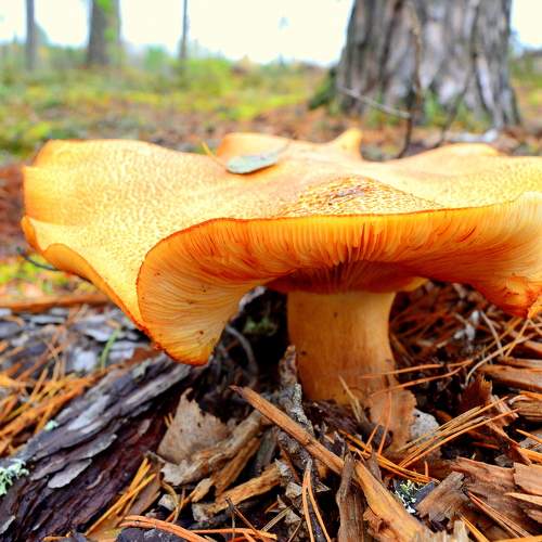 Photo #9729798
