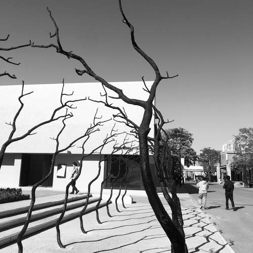 Iron branches