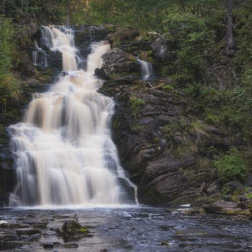 Photo #9730285