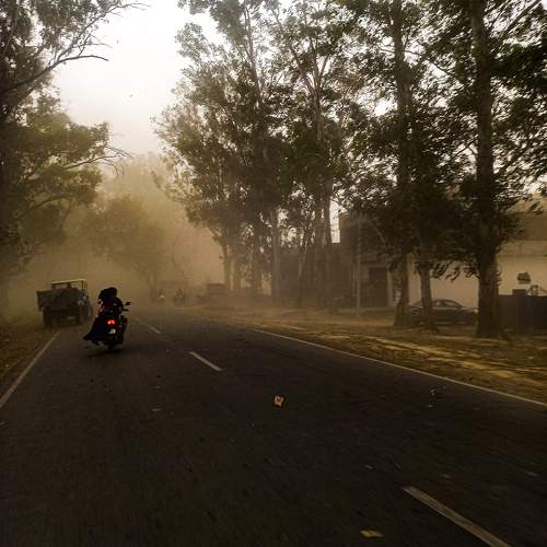 Photo #9730321