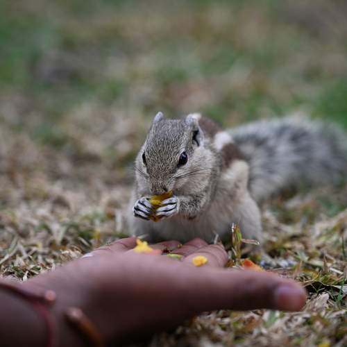 Photo #9730463
