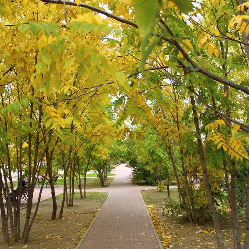 Photo #9730520