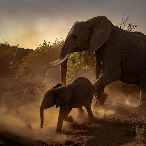 Photo #9730791
